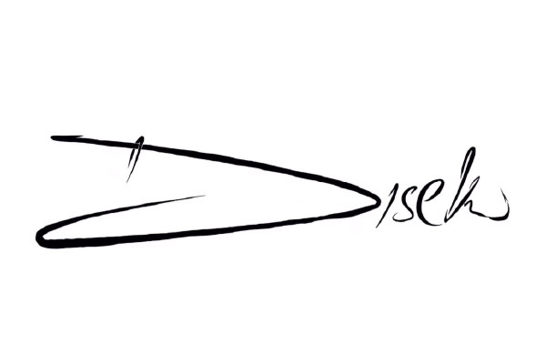 Middle still from DN Diseko logo reveal animation
