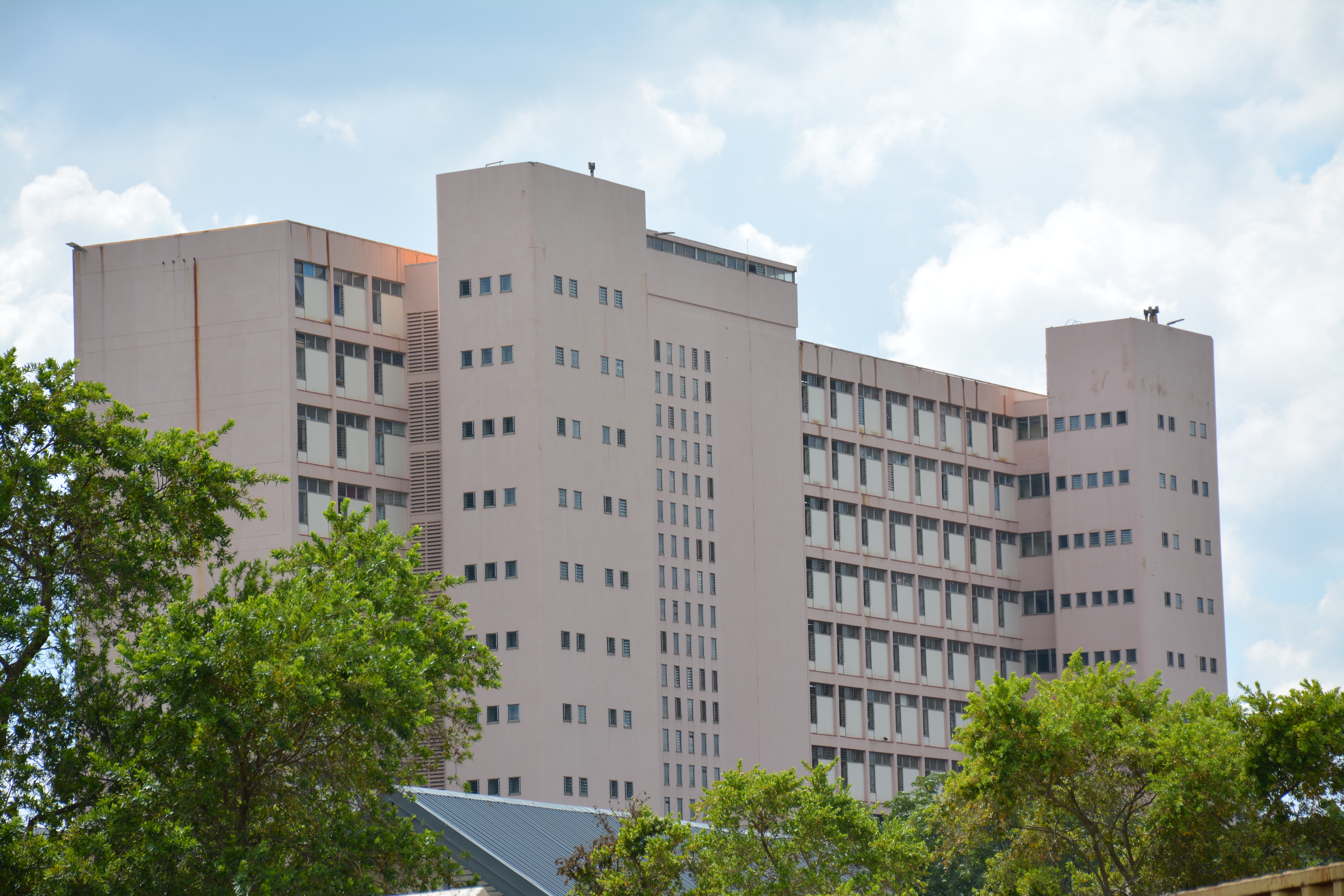 Large building framed by trees and a bright sky