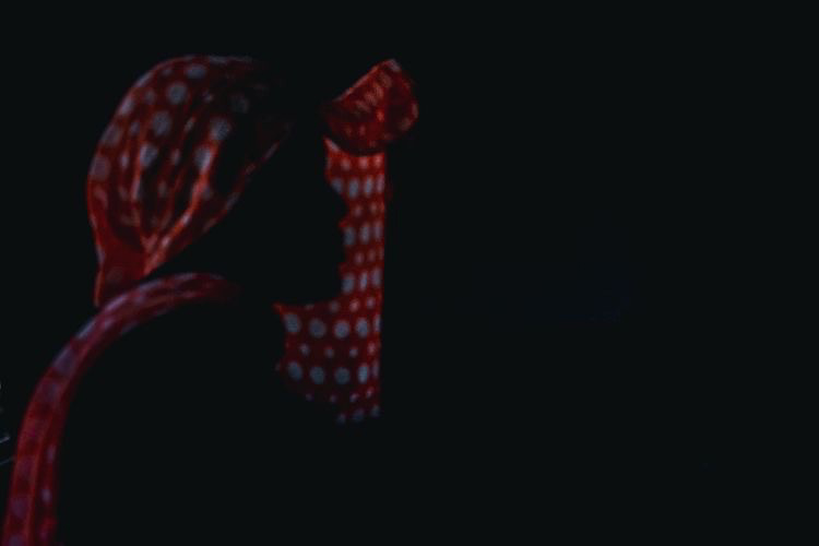 A shadowed figure wearing red patterned fabric against a dark background